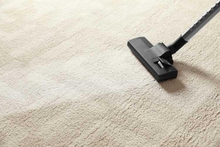 Schedule Certified Cleaning Services in Louisiana